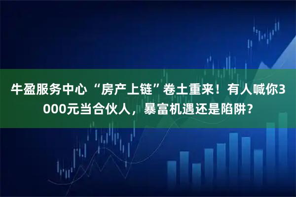 牛盈服务中心 “房产上链”卷土重来！有人喊你3000元当合伙人，暴富机遇还是陷阱？