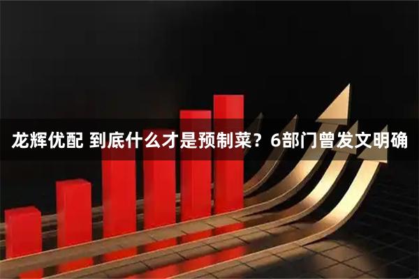 龙辉优配 到底什么才是预制菜？6部门曾发文明确