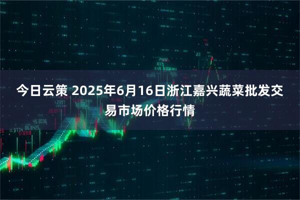 今日云策 2025年6月16日浙江嘉兴蔬菜批发交易市场价格行情