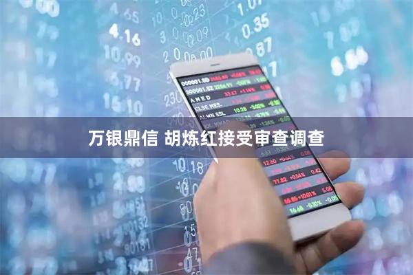 万银鼎信 胡炼红接受审查调查