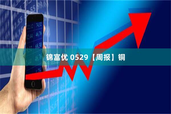 锦富优 0529【周报】铜
