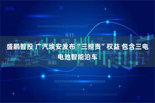盛鹏智投 广汽埃安发布“三担责”权益 包含三电电池智能泊车