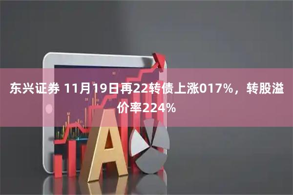 东兴证券 11月19日再22转债上涨017%，转股溢价率224%